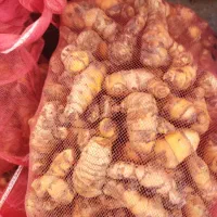 عصاره زرد چوبه تازه و زنجبیل تازه|خوردنی و آشامیدنی|شیراز, سفیرشمالی|دیوار