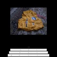 جلیقه بادی نو