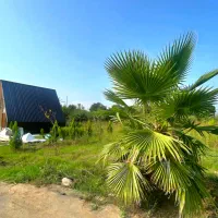 شهرک نوپا سوددهی بالا گیت۲۴ساعته مستقراگهی قیمت کل|فروش زمین و ملک کلنگی|گلوگاه بابل (گلیا), |دیوار