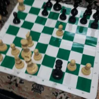 مسابقه دوستانه در محیطی آرام بخش