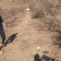 امور باغبانی