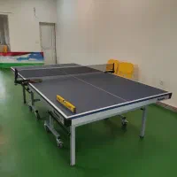 میز پینگ پنگ چرخ دار حرفه ای|ورزش‌های توپی|تهران, منیریه|دیوار
