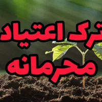 تولدی دوباره بدون مخد. ر