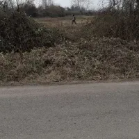 فروش-دوپلاک-زمین-باغی-دوردیوار285یک-کیلومتری-سنگر