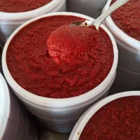 رب گوجه خانگی تازه و خوشرنگ
