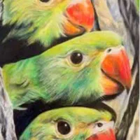 شاه طوطی
