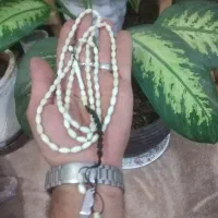 تسبیح استخون