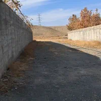 فروش فوری زمین باغی کاهو ۶۰۰متری|فروش زمین و ملک کلنگی|گلمکان, |دیوار