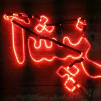 ال ای دی ، ترانس ، نئون