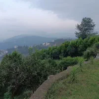 زمین-اربه-کله-9500متر-مسکونی-با15سندتفکیکی