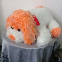 عروسک های نو