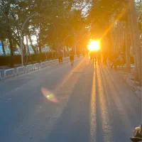 باغ پسته فخرآباد میبد