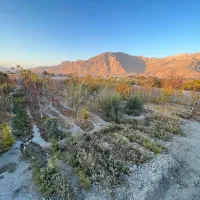 باغ شهری منطقه خوش آب و هوای سیدان