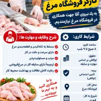 استخدام نیرو مرغ تکه کن