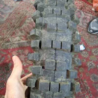 لاستیک گل جنگلی