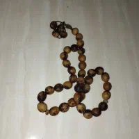 تسبیح دانه ی خرمایی وحشی
