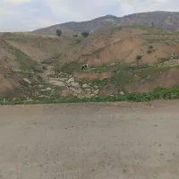 کود شیمیایی سفید