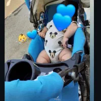 کالسکه کارکرده چیکو نیاز به تعمیرجزعی داره