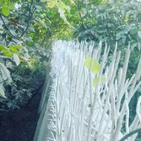 حفاظ (شاخ گوزنی ممتاز) باارسال رایگان