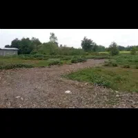 زمین|فروش زمین و ملک کلنگی|رشت, کوی یخ|دیوار