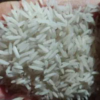 برنج دانه بلند دشتک