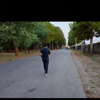 داوطلبانه