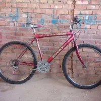 دوچرخه 26داندار