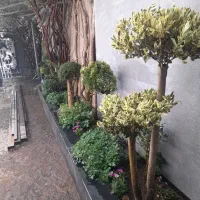 طراحی ، اجرا و نگهداری فضای سبز ،دهکده|خدمات باغبانی و درختکاری|چهاردانگه (تهران), |دیوار