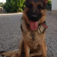 فروش یا معاوضه با چیزی ک ب کارم بیاد