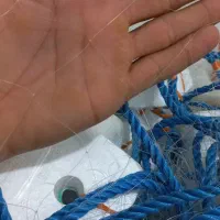 دوتا تورماهی گیری چشمه ده و نیم و نه ونیم