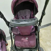 کالسکه دلیجان همراه با کریر