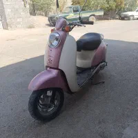 پاکشتی درجه یک