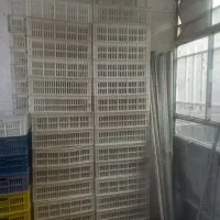 سبد گوجه وسبد ماستی