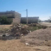 فروش زمین سوسنگرد 280 متری|فروش زمین و ملک کلنگی|سوسنگرد, |دیوار