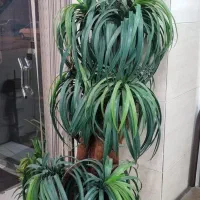 درختچه نخل مصنوعی دکوری گل گلدان