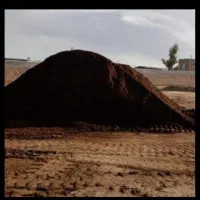 فروش کود حیوانی گوسفندی با نیسان|خدمات باغبانی و درختکاری|تبریز, |دیوار