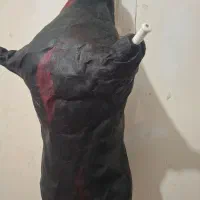 نیهمون|سازهای بادی|بوشهر, |دیوار