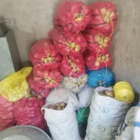 سیب زمینی قروه