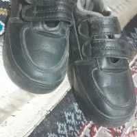 کفش|کیف، کفش، کمربند|کرمان, |دیوار