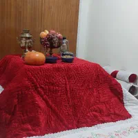 عکاسی با تم یلدا|خدمات پذیرایی، مراسم|همدان, |دیوار