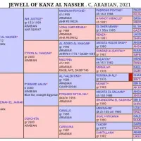 اسب عرب|اسب و تجهیزات اسب‌سواری|شهریار, اسکمان|دیوار