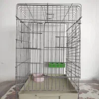 قفس پرنده تمیز و سالم با ساخت محکم و دوام بالا