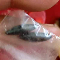 انگشتر ابراهیمی زابل|بدلیجات|زابل, |دیوار