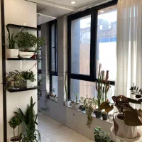 دعوت به همکاری در لاین ناخن و مژه