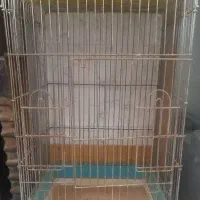 قفس بزرگ پرنده