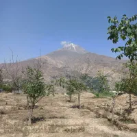 دو قطعه زمین 235متری واقع در زیبادشت