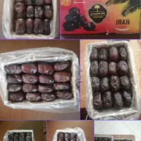 خرما صادراتی