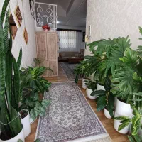 خونه ویلایی تمیز و خوشگل|فروش خانه و ویلا|رشت, شهرک پردیسان|دیوار