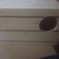 لونه ی پرنده|لوازم جانبی حیوانات|فیروزآباد (فارس), |دیوار