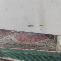 آینه قدی|آینه|مشهد, خواجه ربیع|دیوار